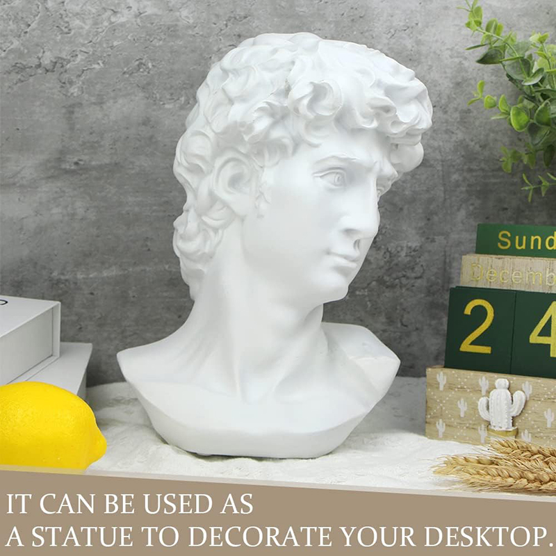 芸術的な描画、デビッドヘッド、古典的なローマのバスト、家庭や - Resin Art Design のレビューと価格