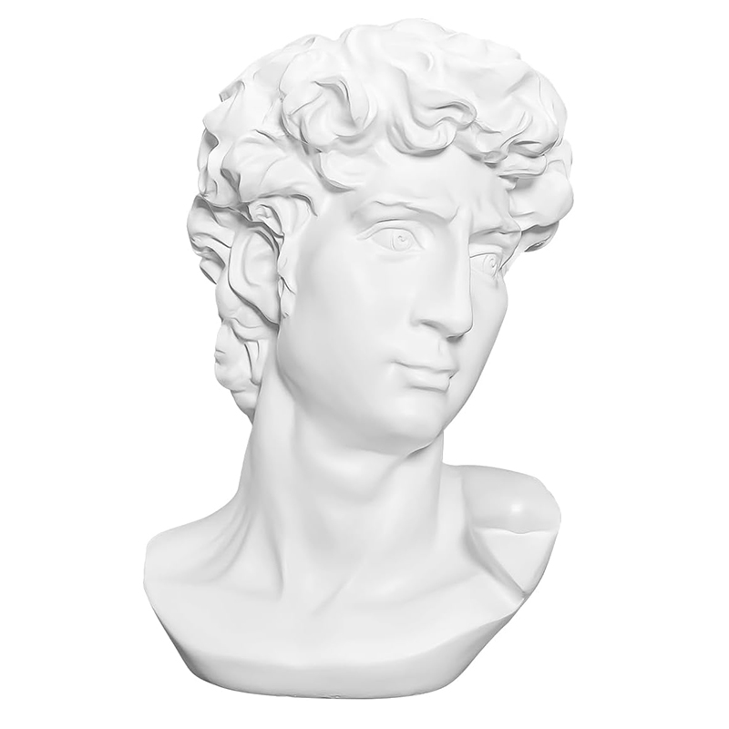 芸術的な描画、デビッドヘッド、古典的なローマのバスト、家庭や - Resin Art Design のレビューと価格